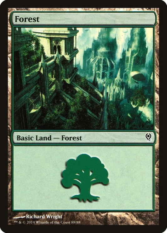 Image for Forest (88) (88) (Duel Decks: Jace vs. Vraska) - Magic: The Gathering