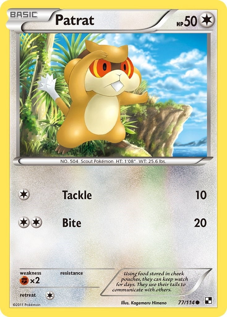 Image for Patrat (77) (77/114) (Black and White) - Pokemon