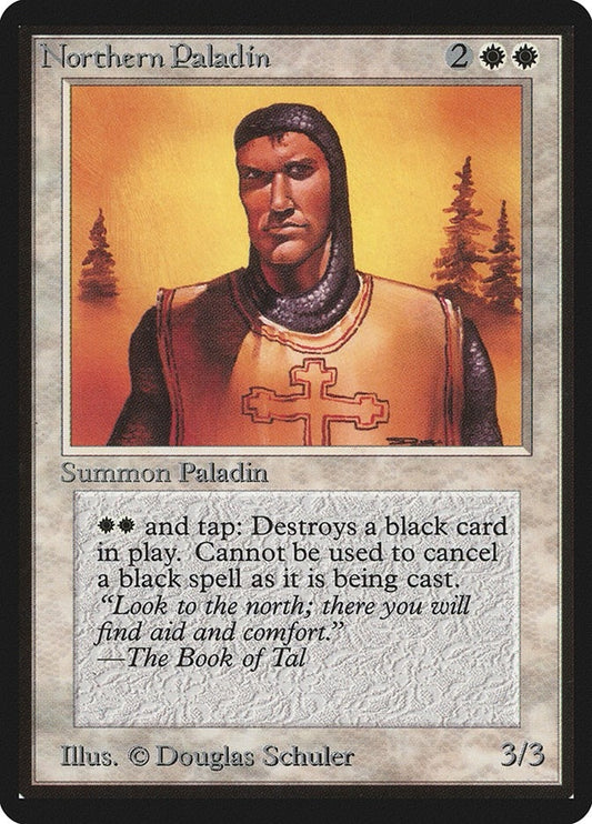 Image for Northern Paladin (Beta Edition) - Magic: The Gathering
