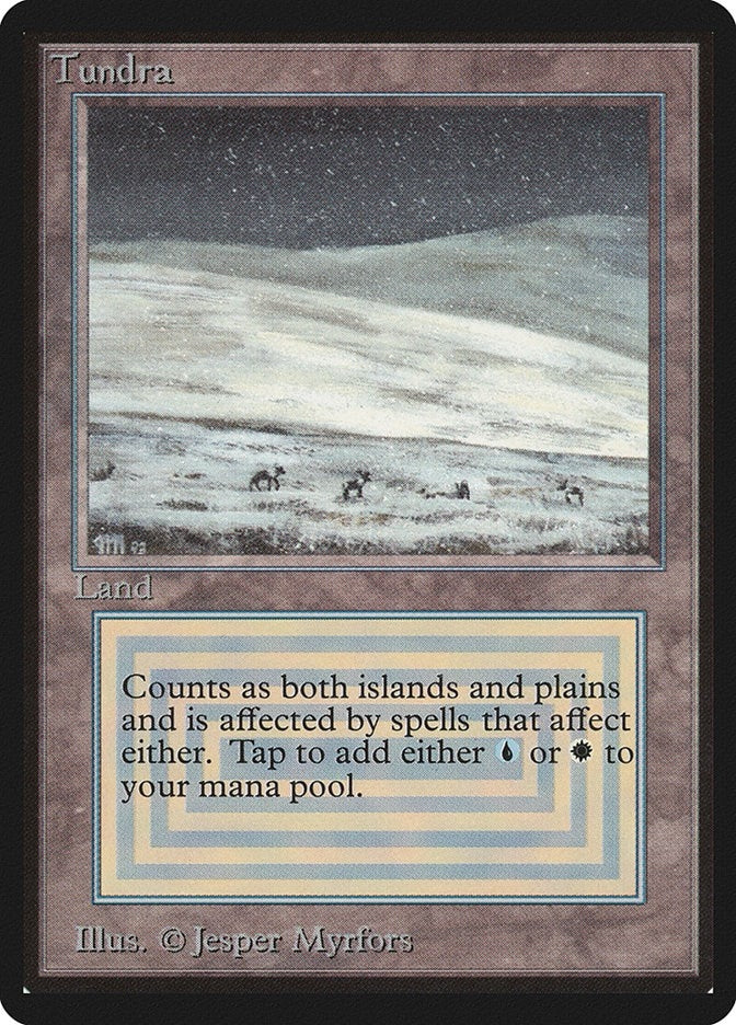 Image for Tundra (Beta Edition) - Magic: The Gathering