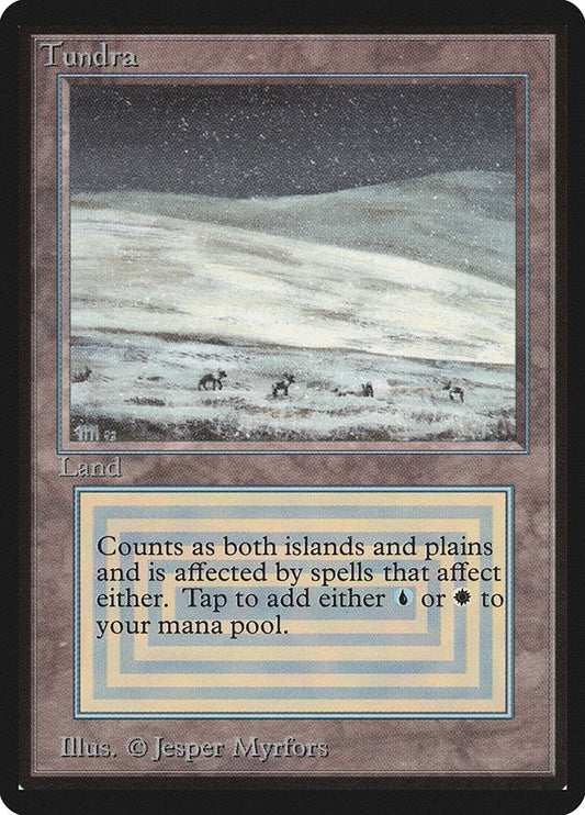 Image for Tundra (Beta Edition) - Magic: The Gathering