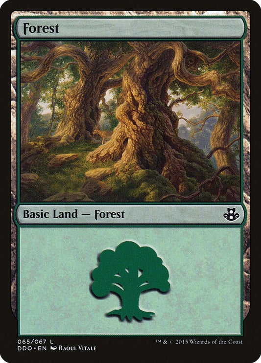 Image for Forest (065) (65) (Duel Decks: Elspeth vs. Kiora) - Magic: The Gathering