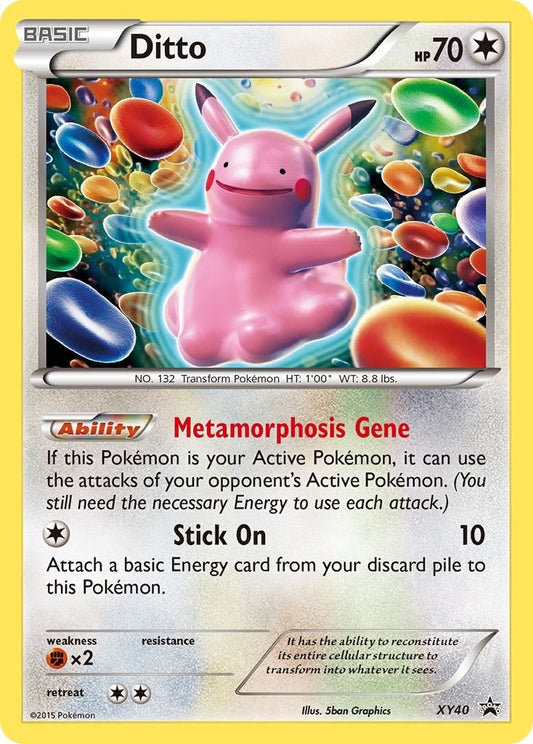 Image for Ditto (XY40) (XY Promos) - Pokemon